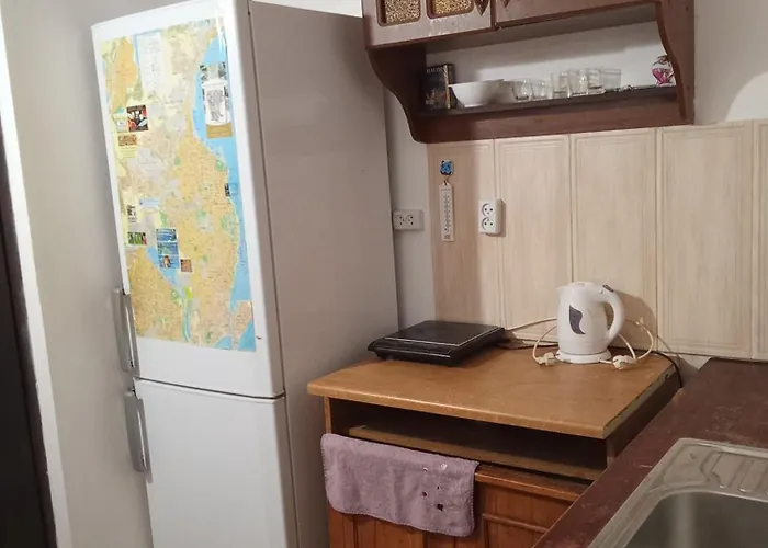 U Deribasovskoi Appartement